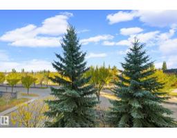 #332 160 Magrath Rd Nw, Edmonton, AB T6R3T7 Photo 15