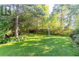 16 Gold Crescent, Russell, ON K4R1B4 Photo 30
