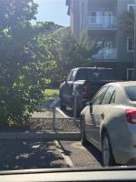 227 230 Fairhaven Road, Winnipeg, MB R3P1A4 Photo 37
