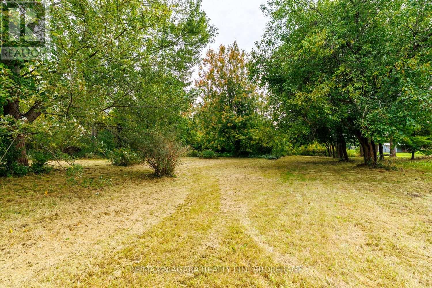 567 LYONS CREEK ROAD - 8