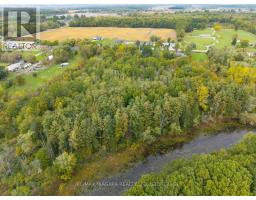 567 Lyons Creek Road, Welland, ON L3B5N4 Photo 39