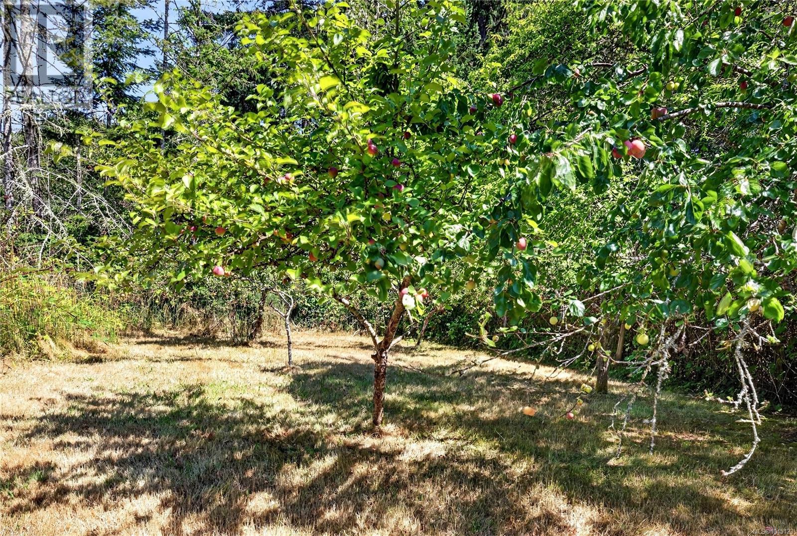 243 Maliview Dr - Image 6
