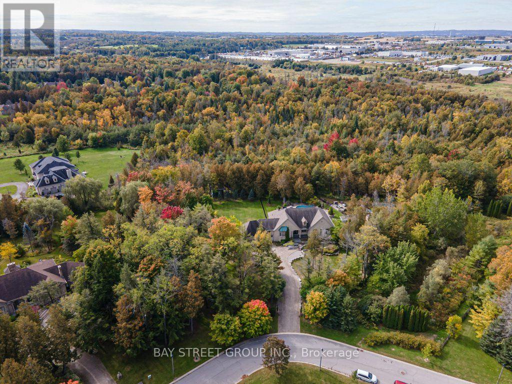 5 River Stone Court, East Gwillimbury, ON photo 49