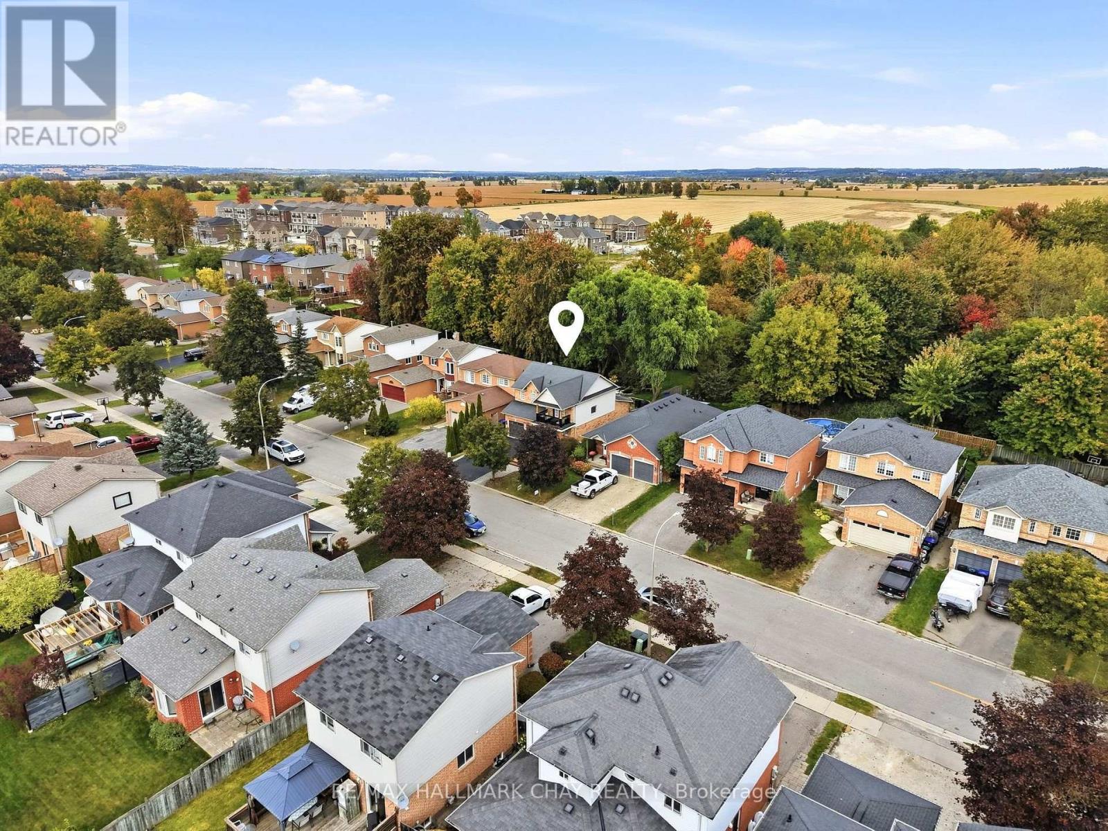 427 Haines Street, New Tecumseth, ON photo 49