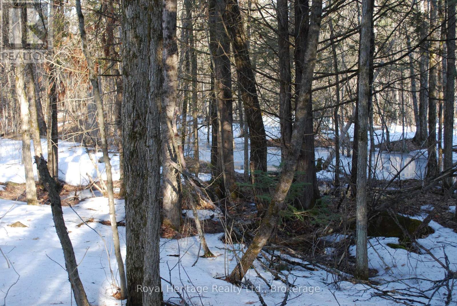 99 Future Lane, Stirling-Rawdon, ON photo 2