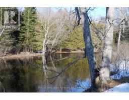 99 Future Lane, Stirling Rawdon, ON K0K2M0 Photo 7