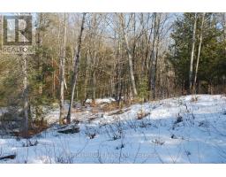 99 Future Lane, Stirling Rawdon, ON K0K2M0 Photo 9