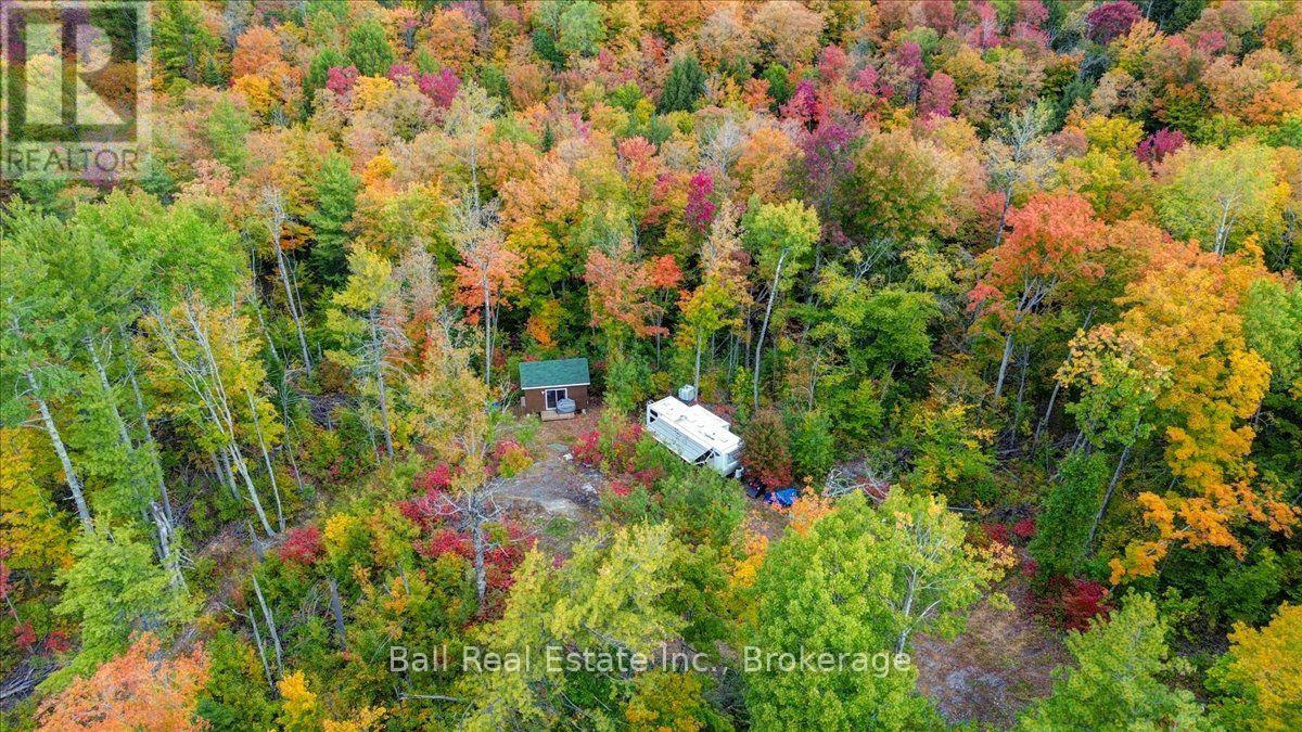 4249 Old Hastings Road, Limerick, ON photo 15