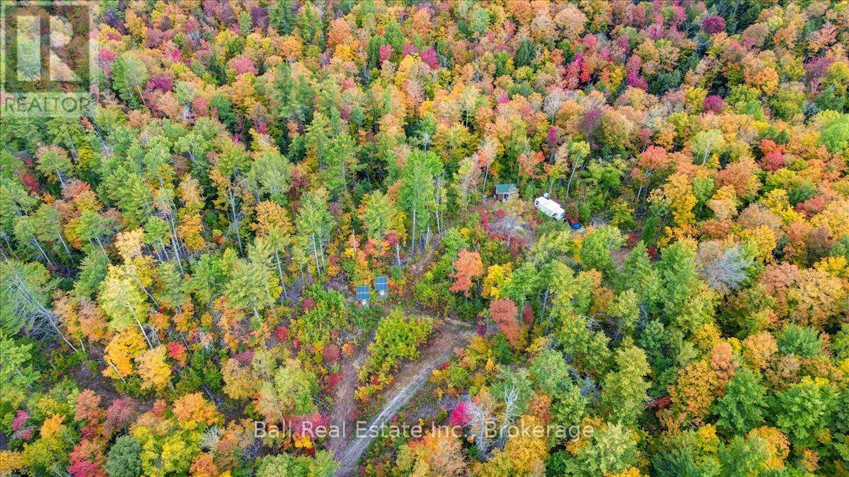 4249 Old Hastings Road, Limerick, ON photo 20