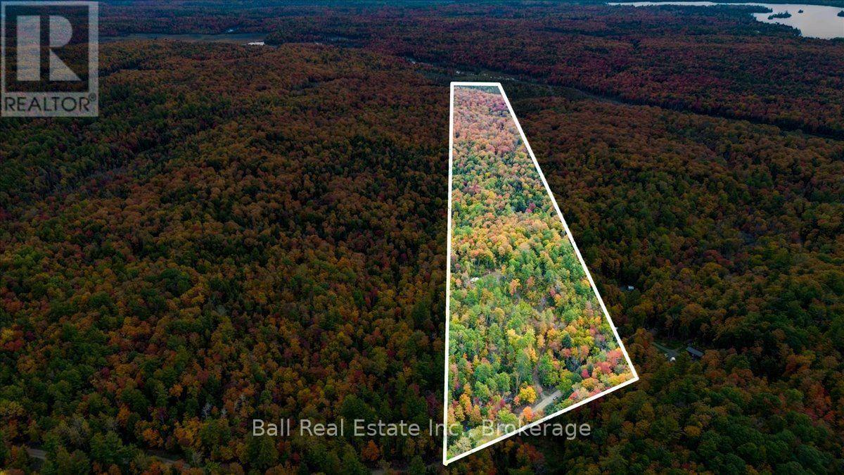 4249 Old Hastings Road, Limerick, ON photo 28