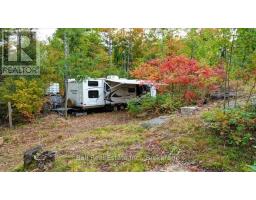 4249 Old Hastings Road, Limerick, ON K0L1W0 Photo 8
