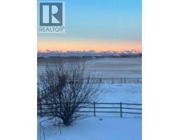 100, 354016 64 Street E, Rural Foothills County, AB T1S1B5 Photo 45