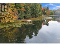 755 Indian Lake Road N, Rideau Lakes, ON K0G1E0 Photo 16