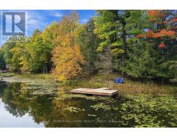 755 Indian Lake Road N, Rideau Lakes, ON K0G1E0 Photo 19