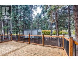 29 Pickwick Lane, Lacombe, AB T4L1T5 Photo 38