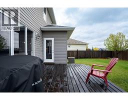 163 Rattlepan Creek Crescent, Fort Mcmurray, AB T9K2V5 Photo 37