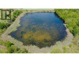 15772 Turin Line, Chatham Kent, ON N0P1C0 Photo 45