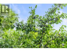 218 Anderson Road, Enderby, BC V0E1V4 Photo 63