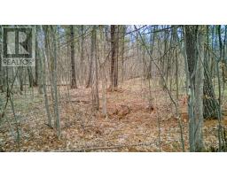 00 Highway 15 Road, Rideau Lakes, ON K0G1E0 Photo 10
