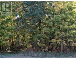 00 Highway 15 Road, Rideau Lakes, ON K0G1E0 Photo 22