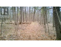00 Highway 15 Road, Rideau Lakes, ON K0G1E0 Photo 9