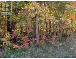 0 Highway 15 Road, Rideau Lakes, ON K0G1E0 Photo 16