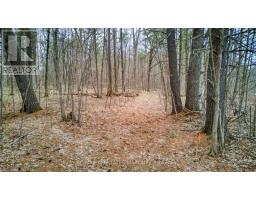 0 Highway 15 Road, Rideau Lakes, ON K0G1E0 Photo 13