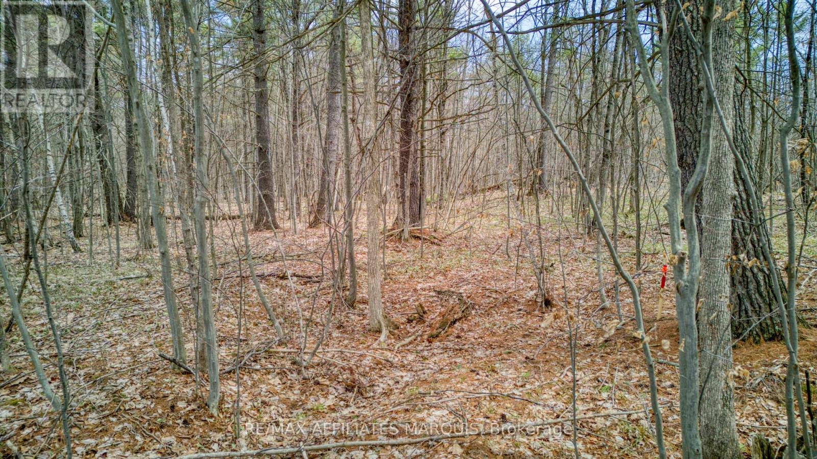 0 Highway 15 Road — photo 15