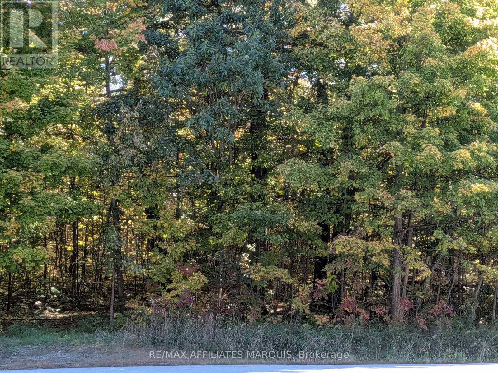 0 Highway 15 Road — photo 17