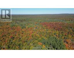 226 Bartley Drive, Northern Bruce Peninsula, ON N0H1Z0 Photo 34