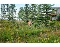 407 Cottageclub Grove, Rural Rocky View County, AB T4C1B1 Photo 44