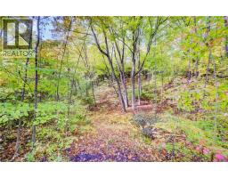 9562 Wellington Rd 16 Road, Wellington North, ON N0G1N0 Photo 20