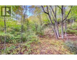9562 Wellington Rd 16 Road, Wellington North, ON N0G1N0 Photo 21