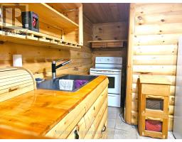 17 Arthur Street E, Minto, ON N0G1Z0 Photo 38