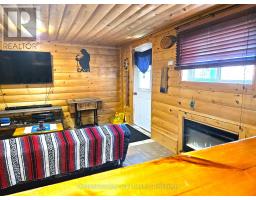 17 Arthur Street E, Minto, ON N0G1Z0 Photo 40
