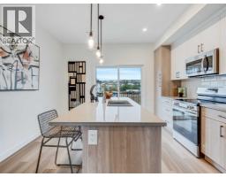 Furnace - 134, 2231 81st Street Sw, Calgary, AB T3H6M4 Photo 6