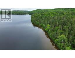 0 Gillis Lake Road, Gillis Lake, NS B2A4H7 Photo 6