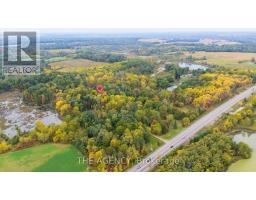 295 Brant Road, Brant, ON N0E1N0 Photo 48