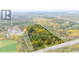 295 Brant Road, Brant, ON N0E1N0 Photo 49