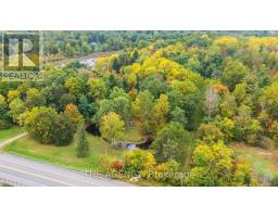 295 Brant Road, Brant, ON N0E1N0 Photo 47