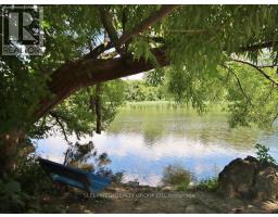 6 - 152 Springhurst Avenue, Ottawa, ON K1S0E5 Photo 16