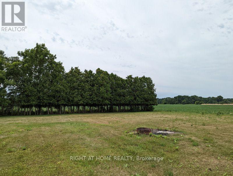 392 Second Street, Strathroy-Caradoc, ON photo 6