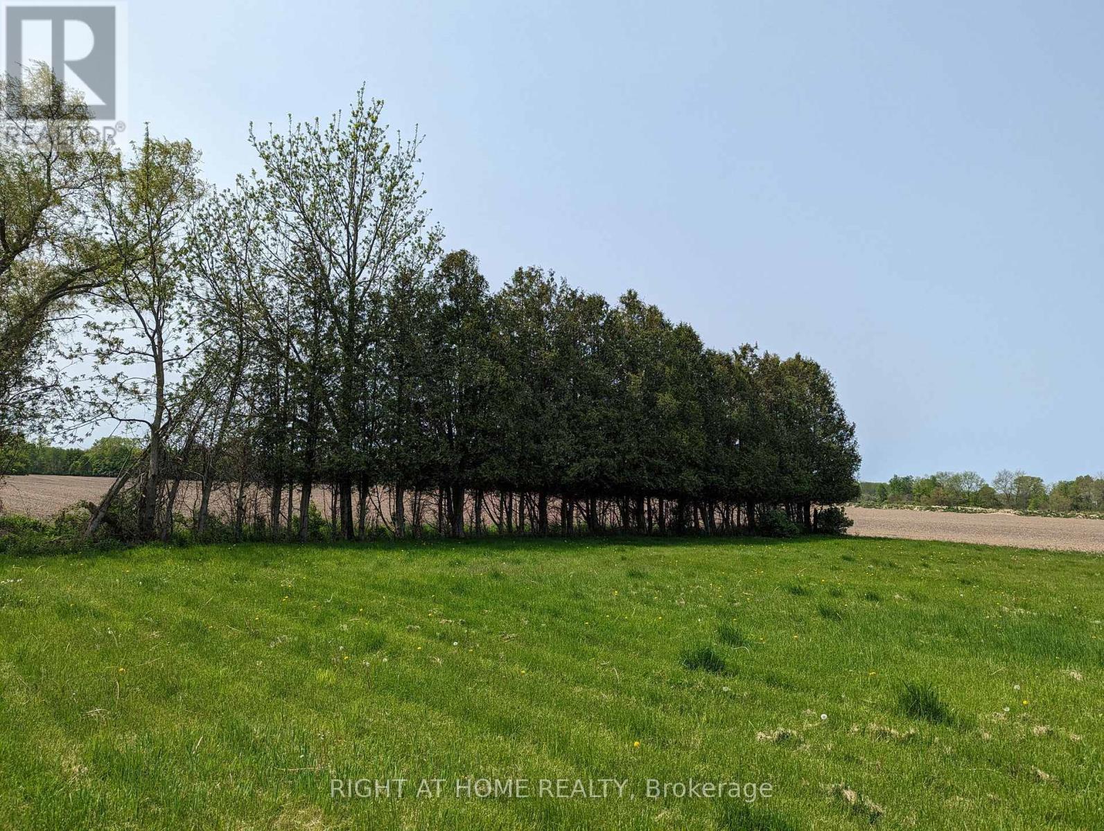392 Second Street, Strathroy-Caradoc, ON photo 7
