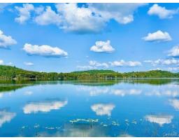 7 Ch. Foubert, La Peche, QC J0X1A0 Photo 48