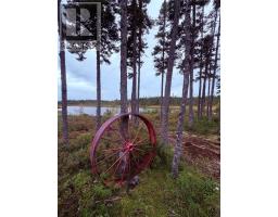 0 Wilf Keats Road, Between Stanhope Brown S Arm, NL A0G3A0 Photo 24