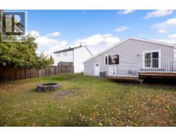 122 Bird Crescent, Fort Mcmurray, AB T9H4T2 Photo 29