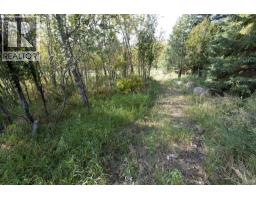 5108 42a Street Close, Ponoka, AB T4J1M3 Photo 7