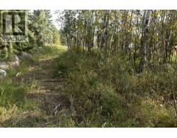 5108 42a Street Close, Ponoka, AB T4J1M3 Photo 8