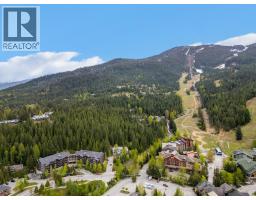 213b 2020 London Lane, Whistler, BC V8E0B6 Photo 11