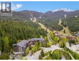 213b 2020 London Lane, Whistler, BC V8E0B6 Photo 13